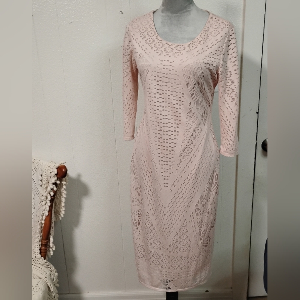 Carmen Marc Valvo Blush Lace Long Sleeve Dress